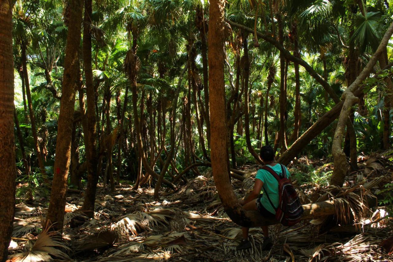 The Green Shack Quatre Soeurs Luaran gambar