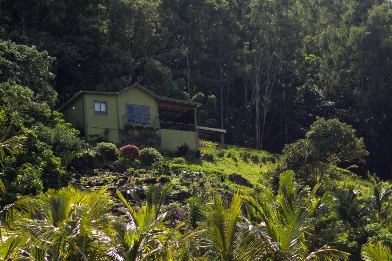 The Green Shack Quatre Soeurs Luaran gambar