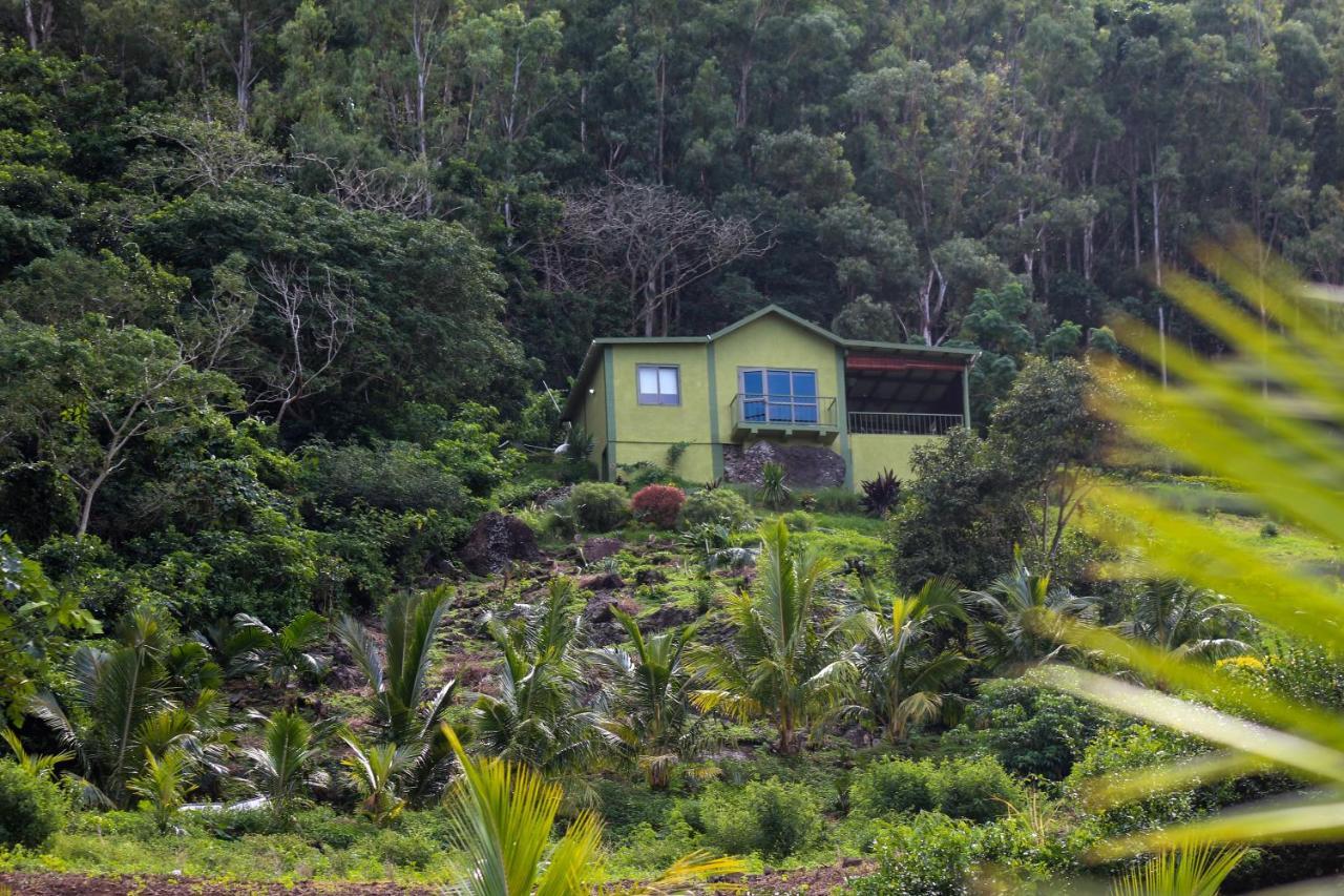 The Green Shack Quatre Soeurs Luaran gambar